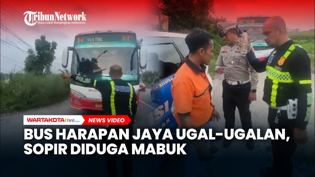 Bus Harapan Jaya Ugal-ugalan, Sopir Diduga Mabuk saat Berkendara