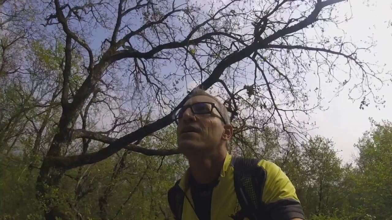 SPORTLER Trail Running Day