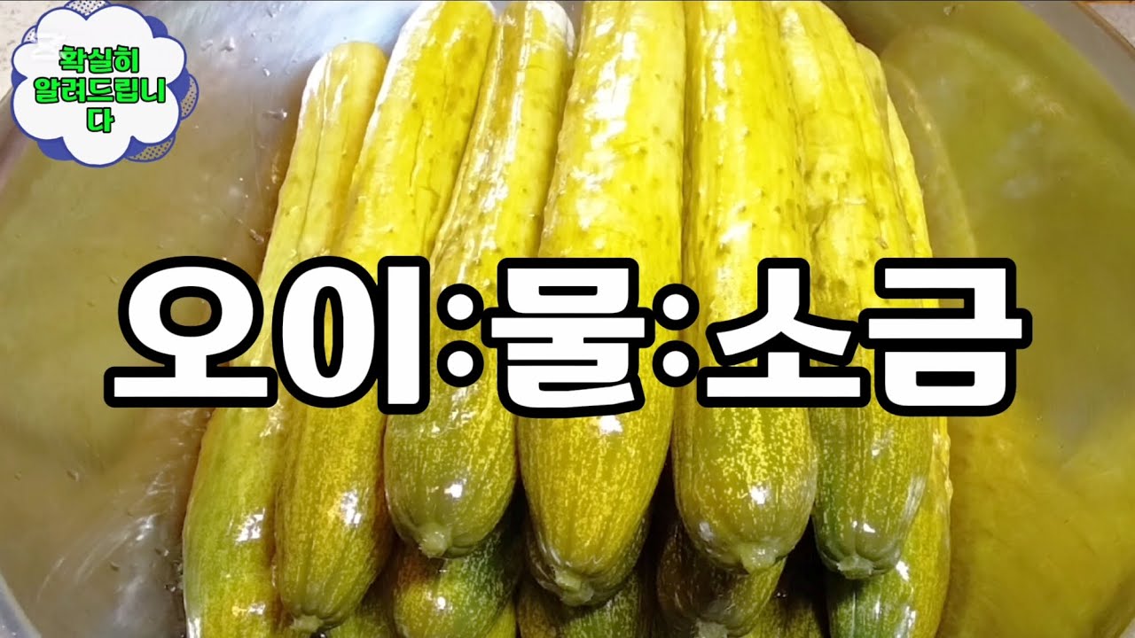 옛날 오이지 소금양 확실히 알려드립니다. 오이지쉽게담그는법 영상으로 만나보세요.