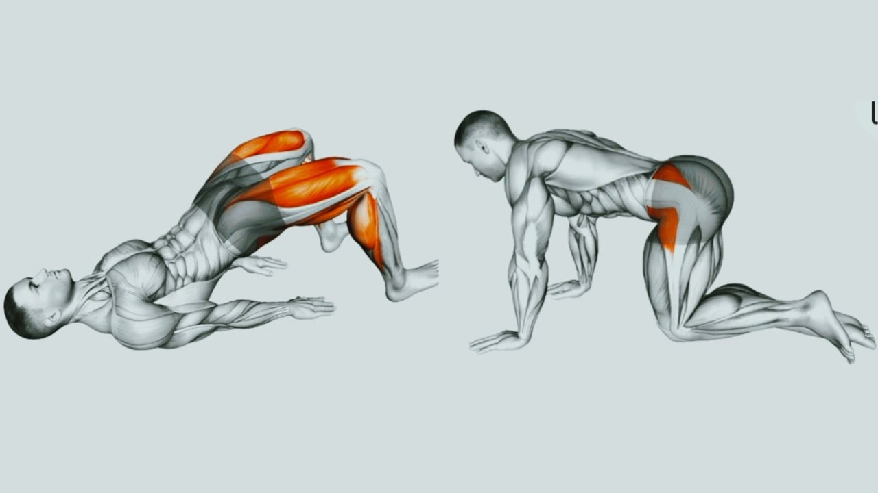 Top 5 Moves for Leg Power & Strength