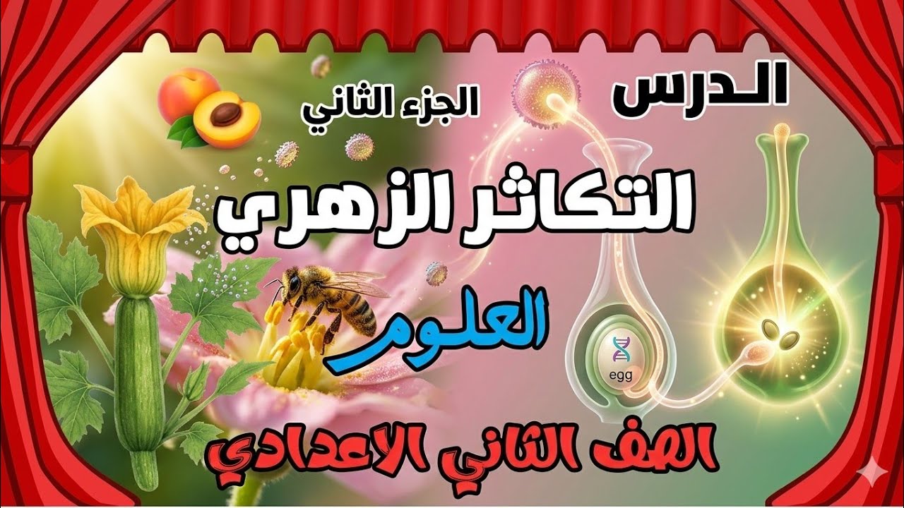 التكاثر الزهري (الجزء الثاني) التلقيح والإخصاب في الأزهار | علوم ثانية إعدادي الترم الثاني شرح مبسط