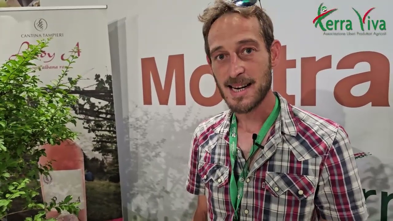 Intervista Cantina Tampieri Emilia Romagna