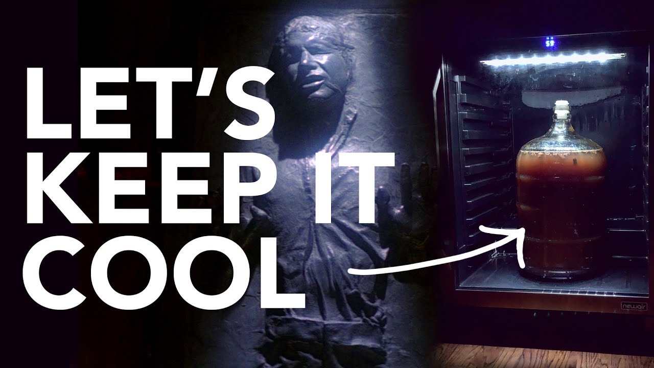 Let's check out the NewAir FlipShelf™ - what can we fit in it?