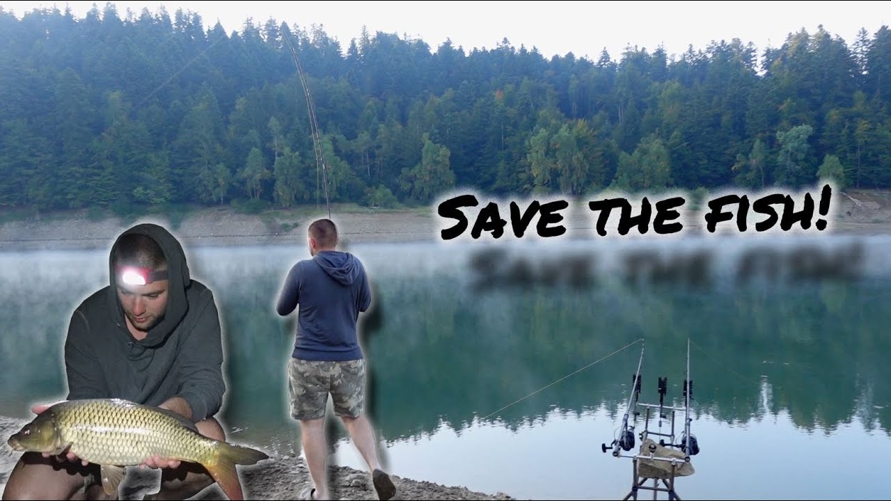 Dieser See stirbt!!! | Lokvarsko Jezero Teil 1 | Roadtrip | Karpfenangeln Kroatien | Carplogs #8