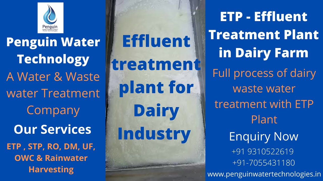ETP Effluent treatment plant for dairy industry | Dairy wastewater treatment, Dairy waste management
