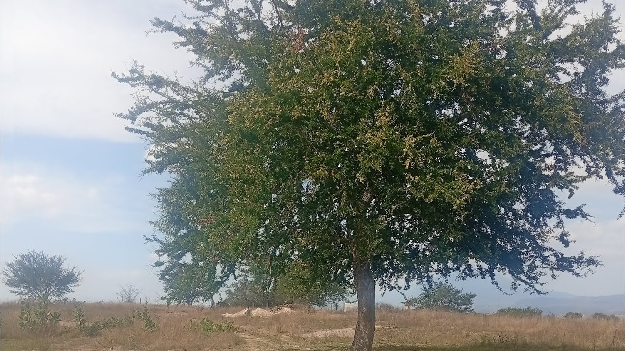 Casa abandonada