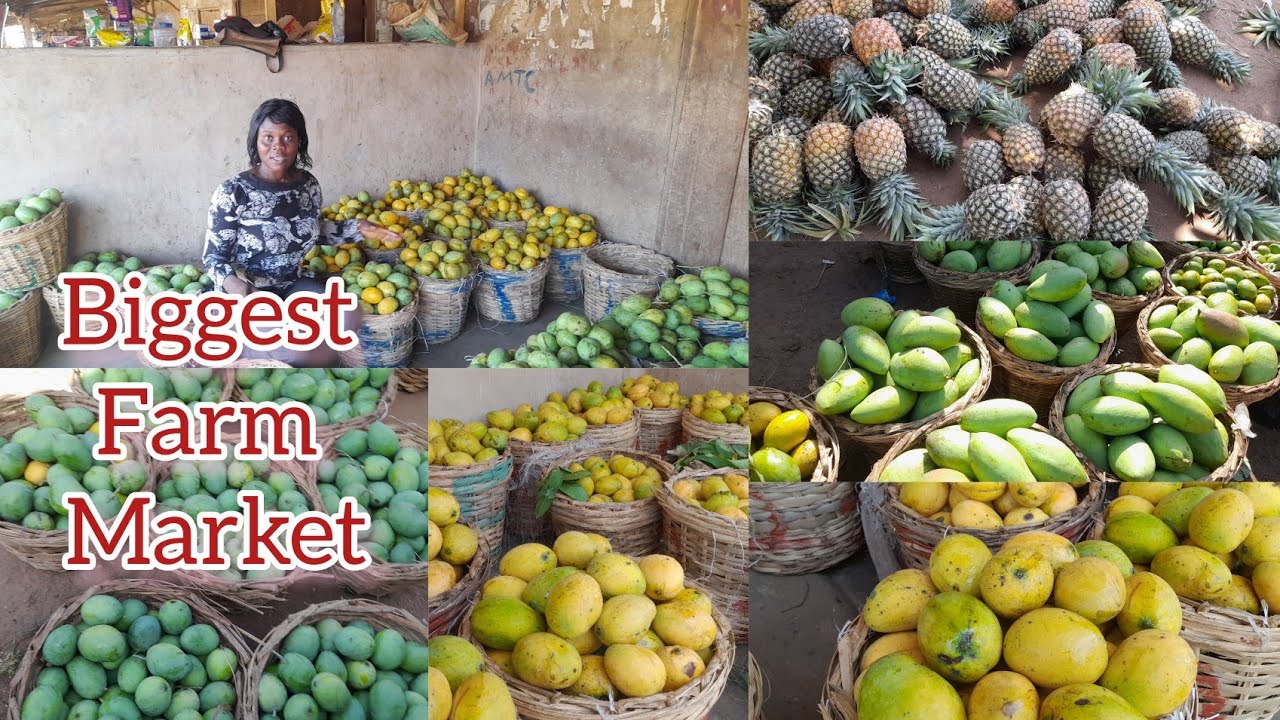 Крупнейший фермерский рынок в Нигерии // Рынок манго начинает продавать манговый сок