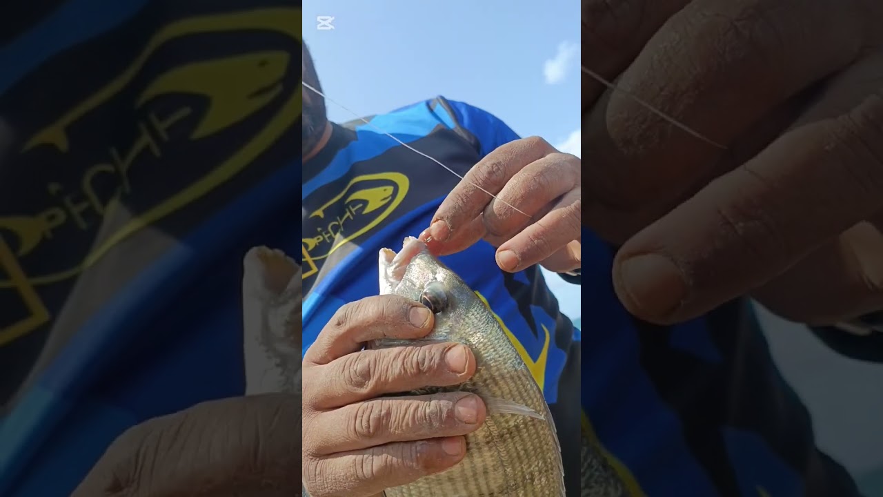 خرجة صيد في المناطق الصخرية مليئة بالمفاجات مع حصيلة جيدة