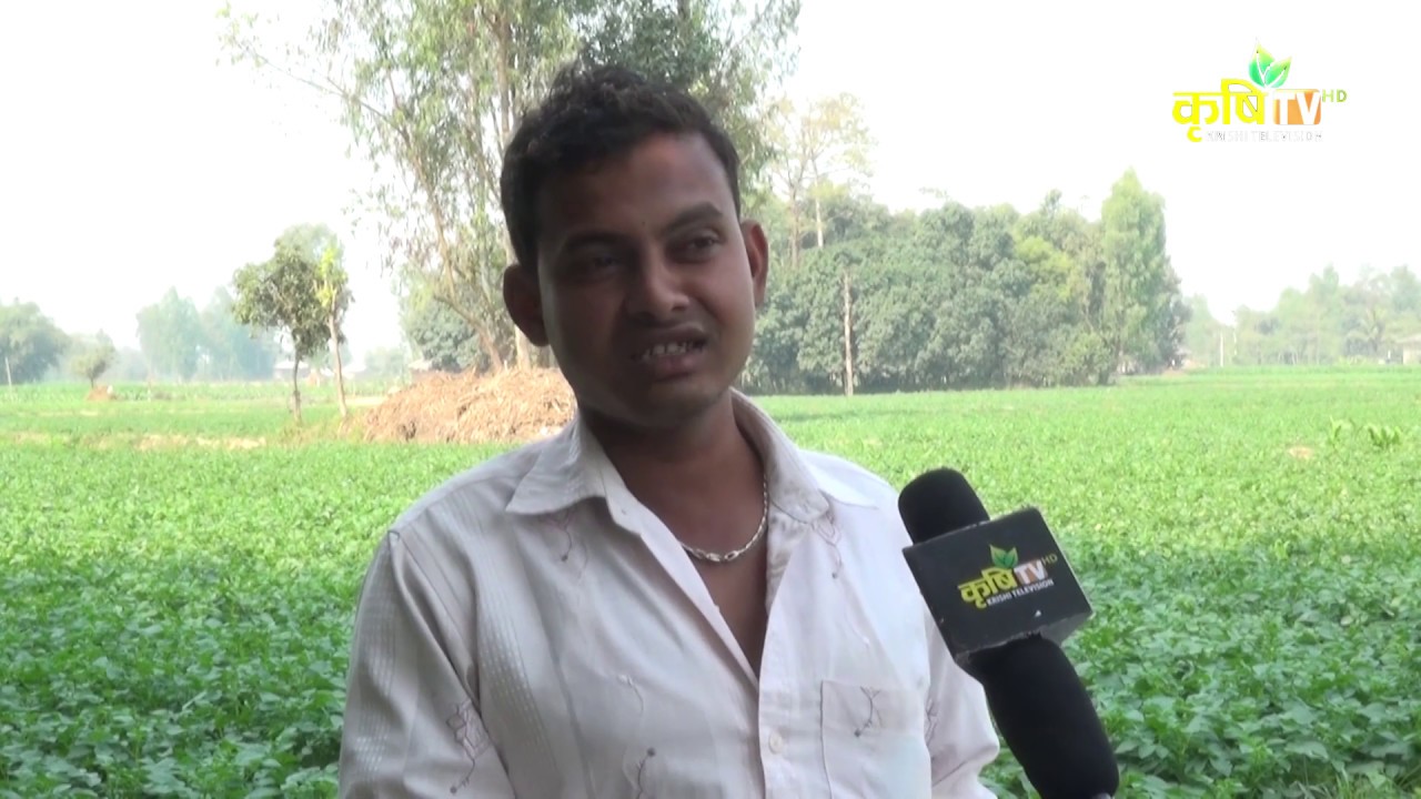 || साना किसान कृषि सहकारी संस्था लिमिटेड संखारापुर, सर्लाहीको सफल्ताको कथा ||