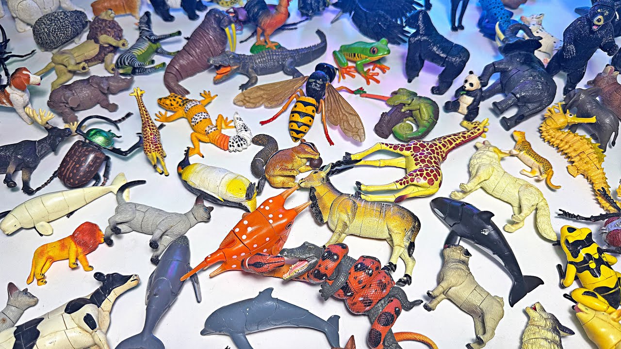 100 3D Puzzle Animal Toys - Lion, Tiger, Giraffe, Housefly, Beluga Whale, Great White Shark, Whale