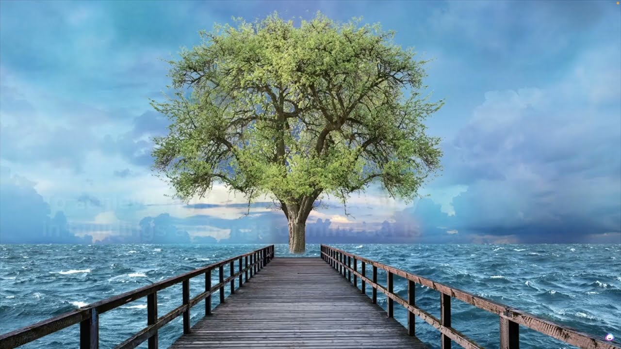 HVAC Tech School: Saving Energy and Solving Low Delta T with the Belimo Energy Valve