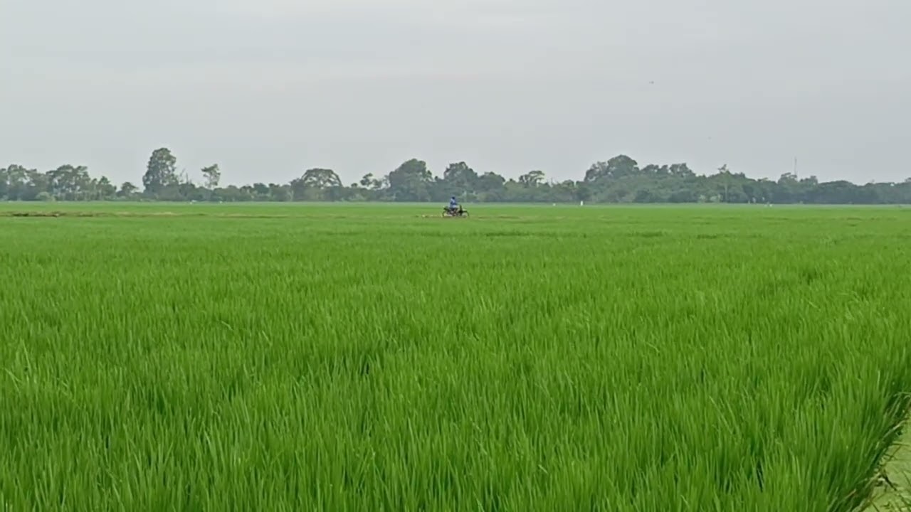 Kita telah mengabaikan kebenaran bahwa seorang petani yang baik adalah pengrajin,🥰.