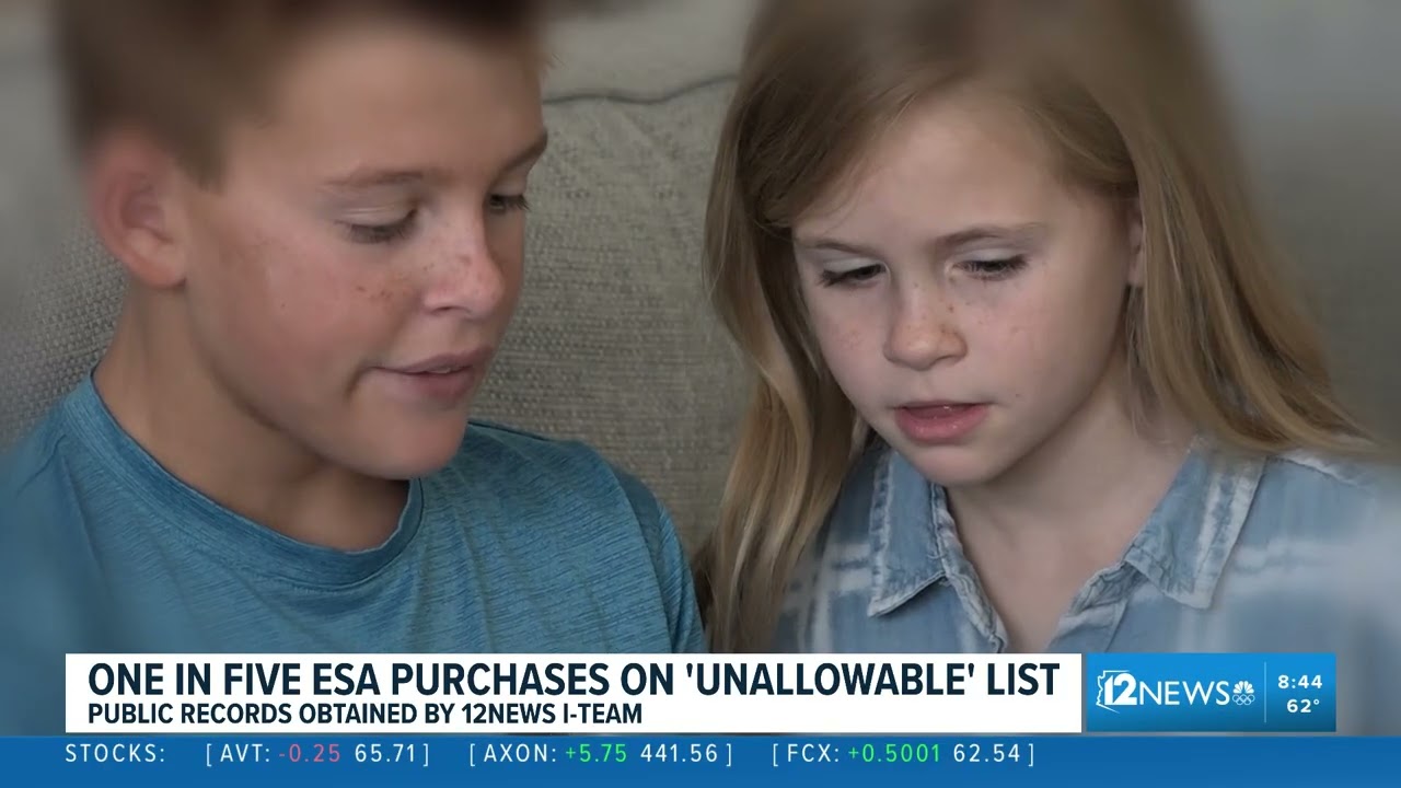 8AM ESA Fraud Backstory