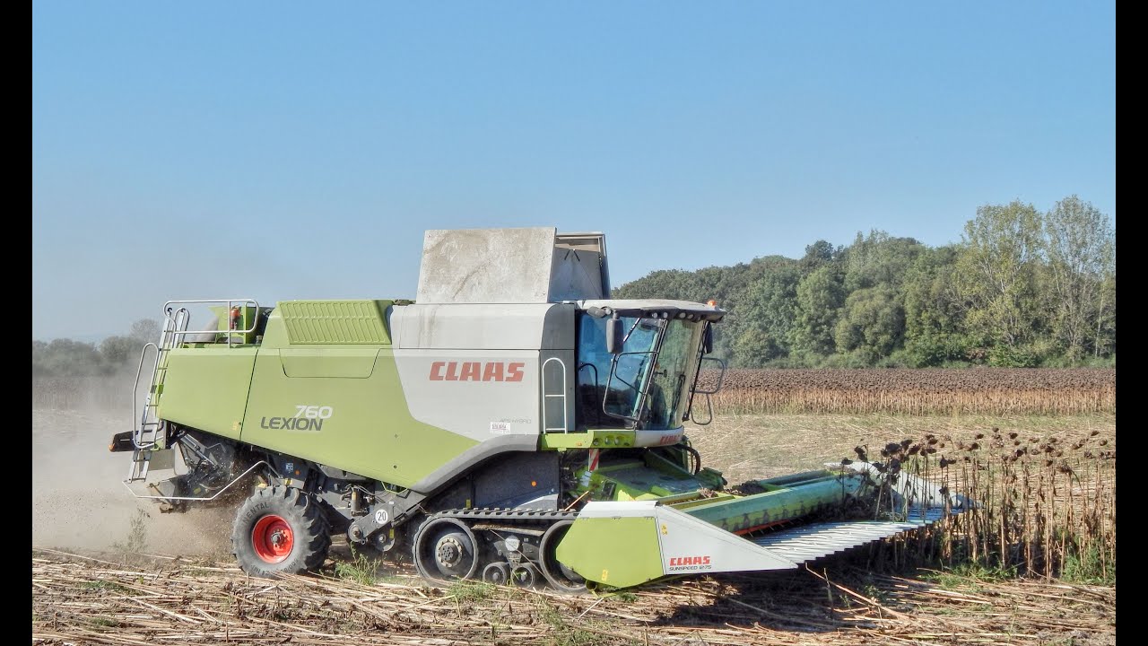 Claas Lexion 760 terra-trac & Fendt 724 Vario - Slnečnica / Sunflower / Slonecznik