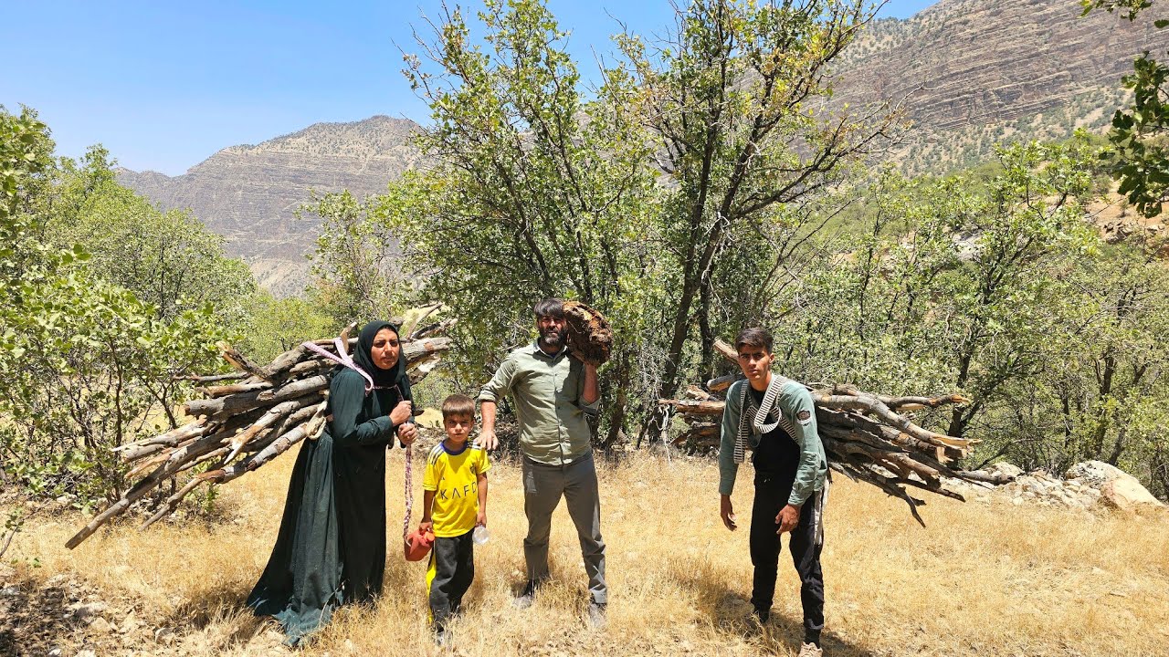 Gathering firewood in the Zagros Mountains by a nomadic family 🌳🏞️👪