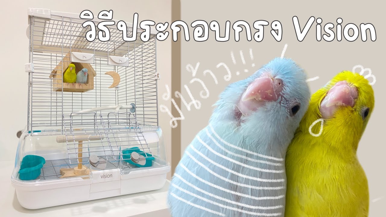 วิธีประกอบกรงวิชั่น-vision S01 บ้านใหม่ของเด็กๆ🐥