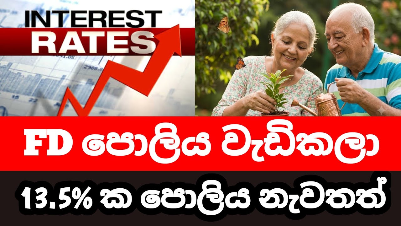 Latest Fixed Deposit Rates Sri Lanka 2026 ස්තාවර තැන්පතු පොලී අනුපාත | bank fd rates
