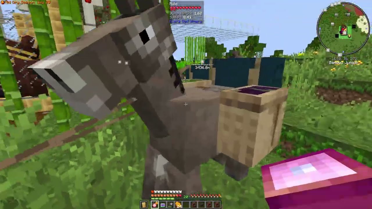 Craftoria - Donkey!?!  Queen bee & bee house, turtles, and more! - EP 58