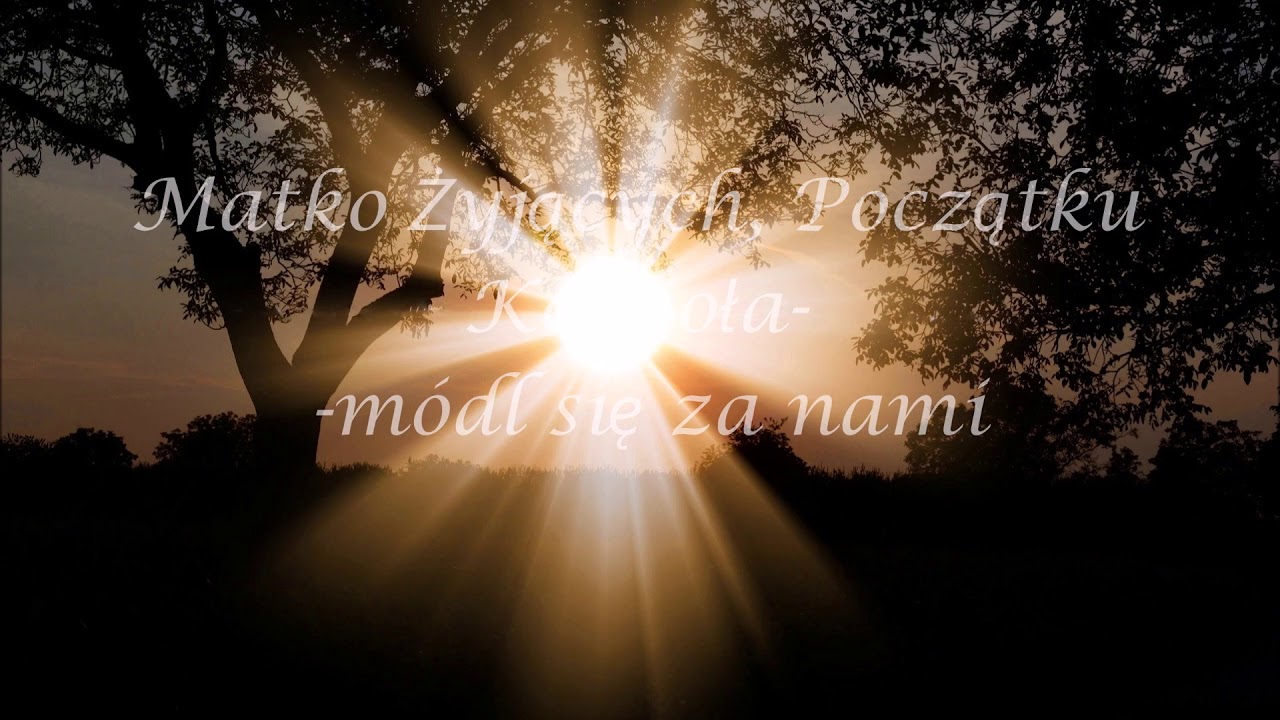 GWIAZDO ZARANNA OBLECZONA W SŁOŃCE