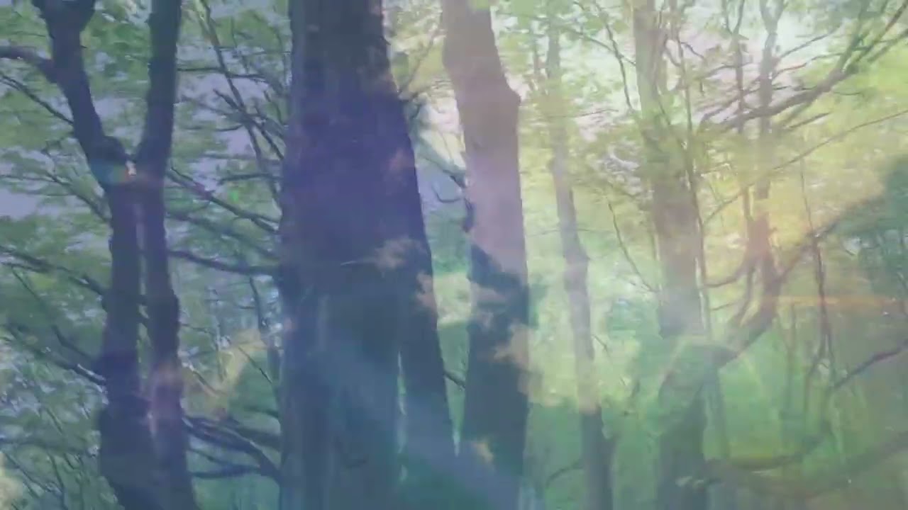 Goodbye, Bad Karma - MTN. LION