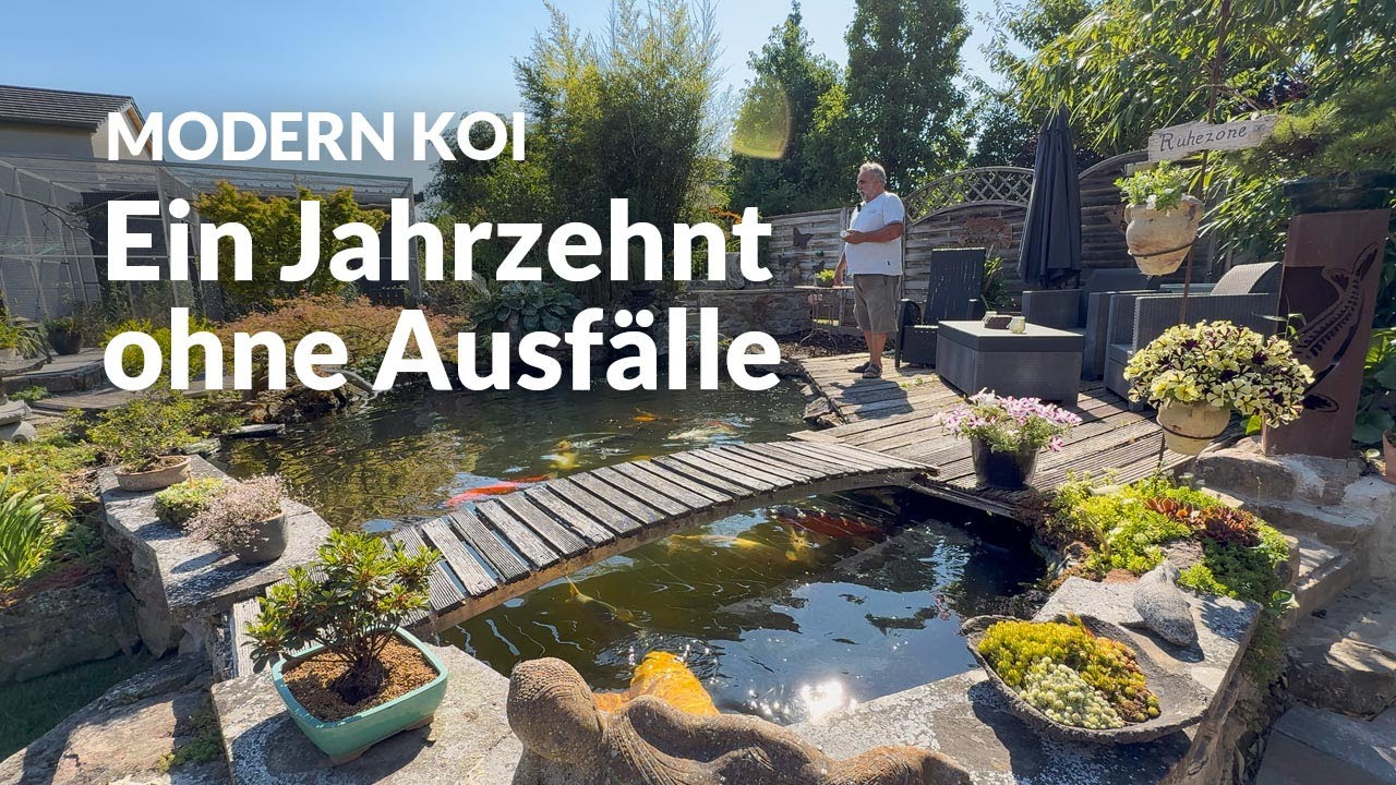 Karl-Heinz' 27 Jahre alter Koiteich | Modern Koi Blog #7903