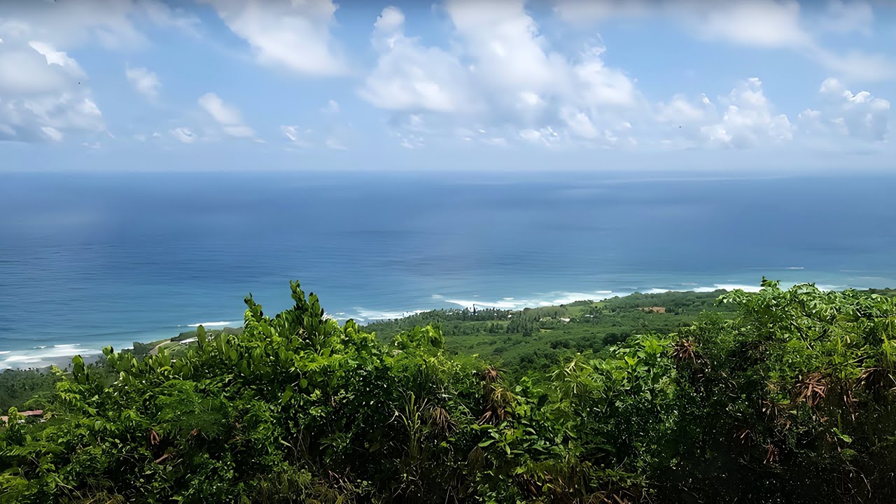 August 25, 2025 - Seeking The North Swell Hackletons Cliff (Barbados 4k) один