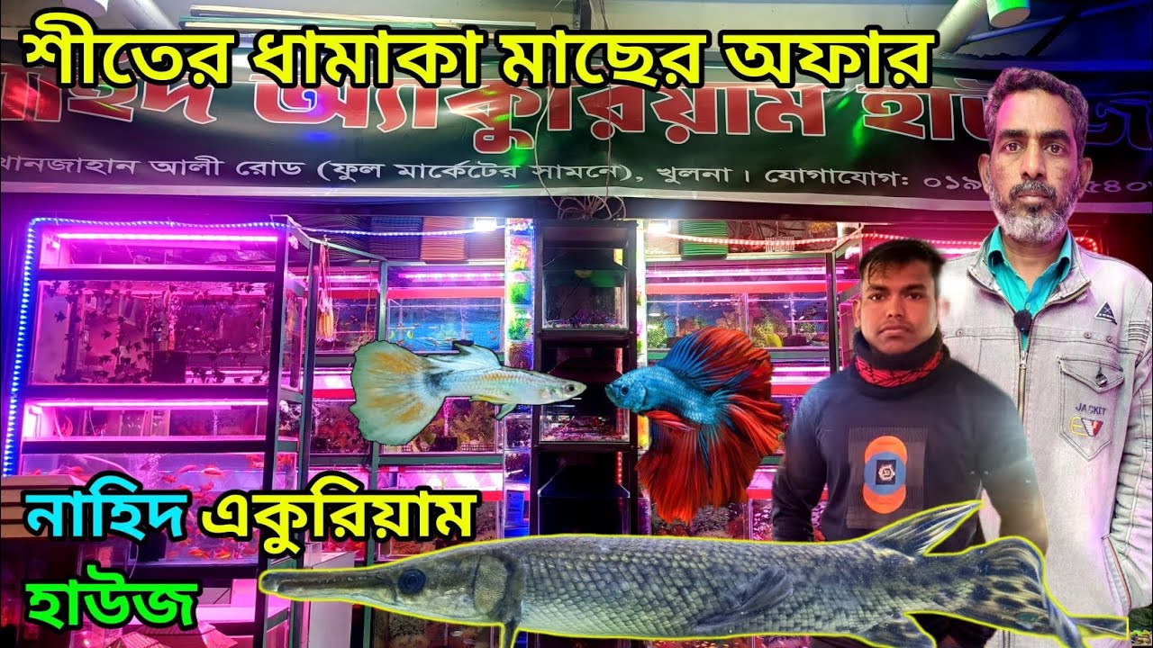 নাহিদ aquarium fish shop in Khulna রঙ্গিন মাছের দোকান aquarium fish price খুলনা ফুল মার্কেট #foryou 