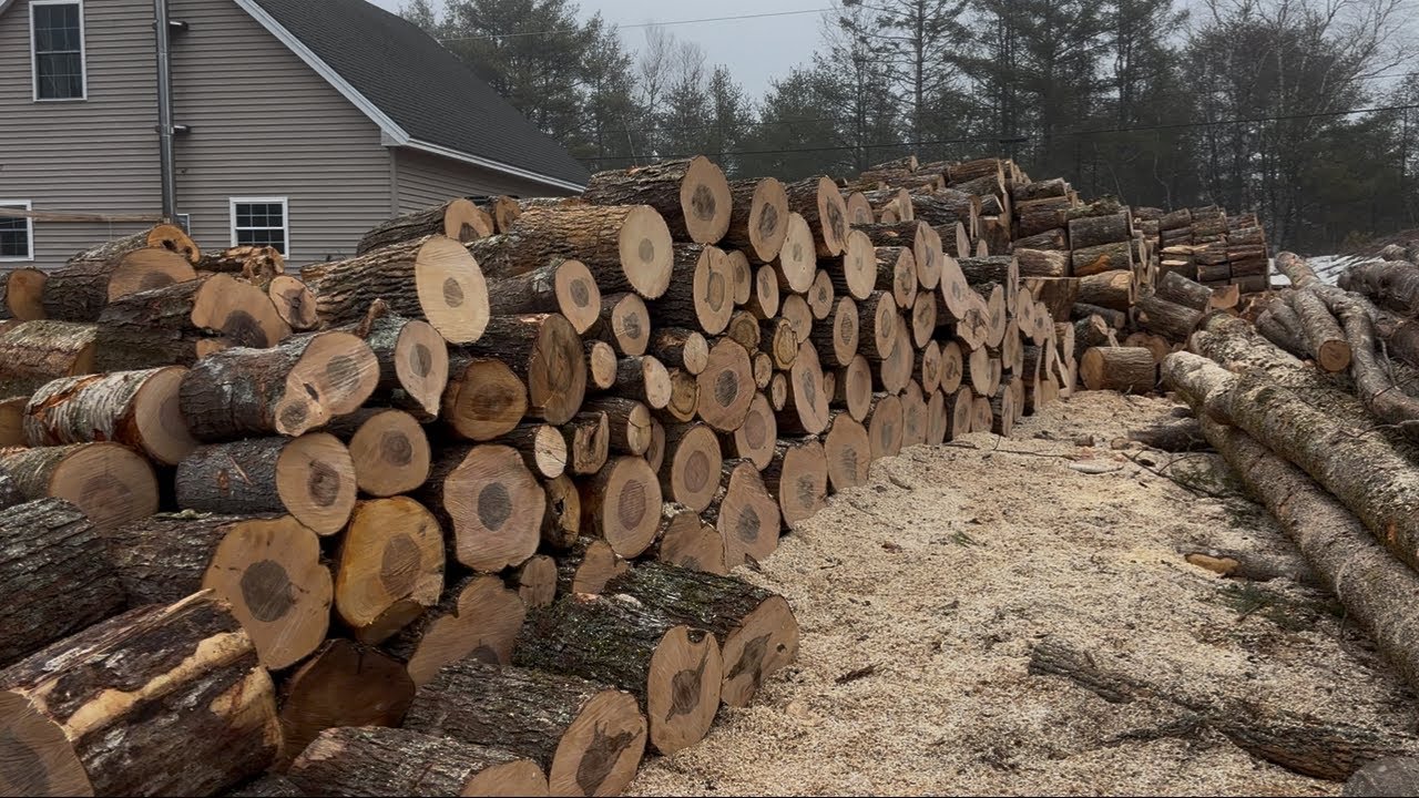 50 cords of firewood in 1 week at 78 years old.