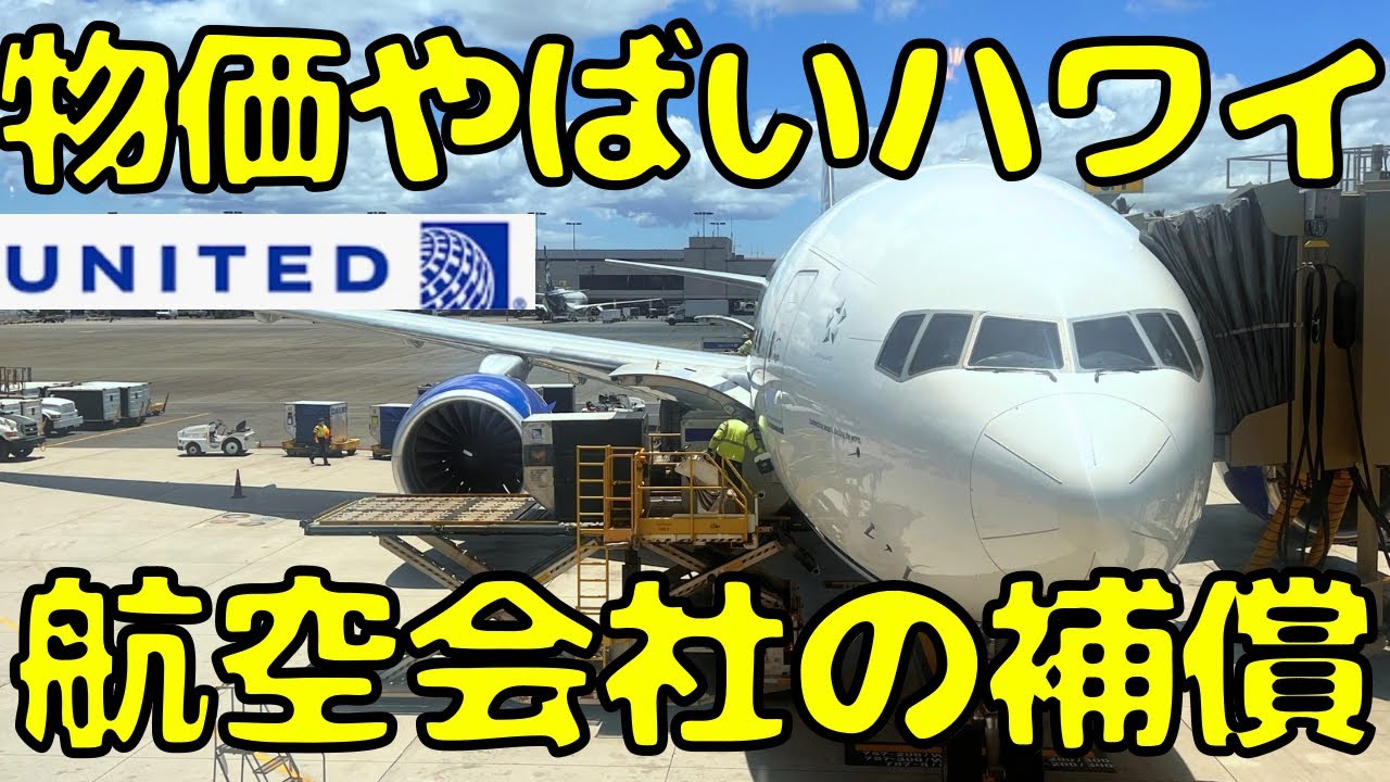 遅延で乗り継ぎ失敗...円安でやばいハワイ🇺🇸に1泊2日緊急滞在すると総額が...【アメリカの航空会社の補償のレベルやばい】