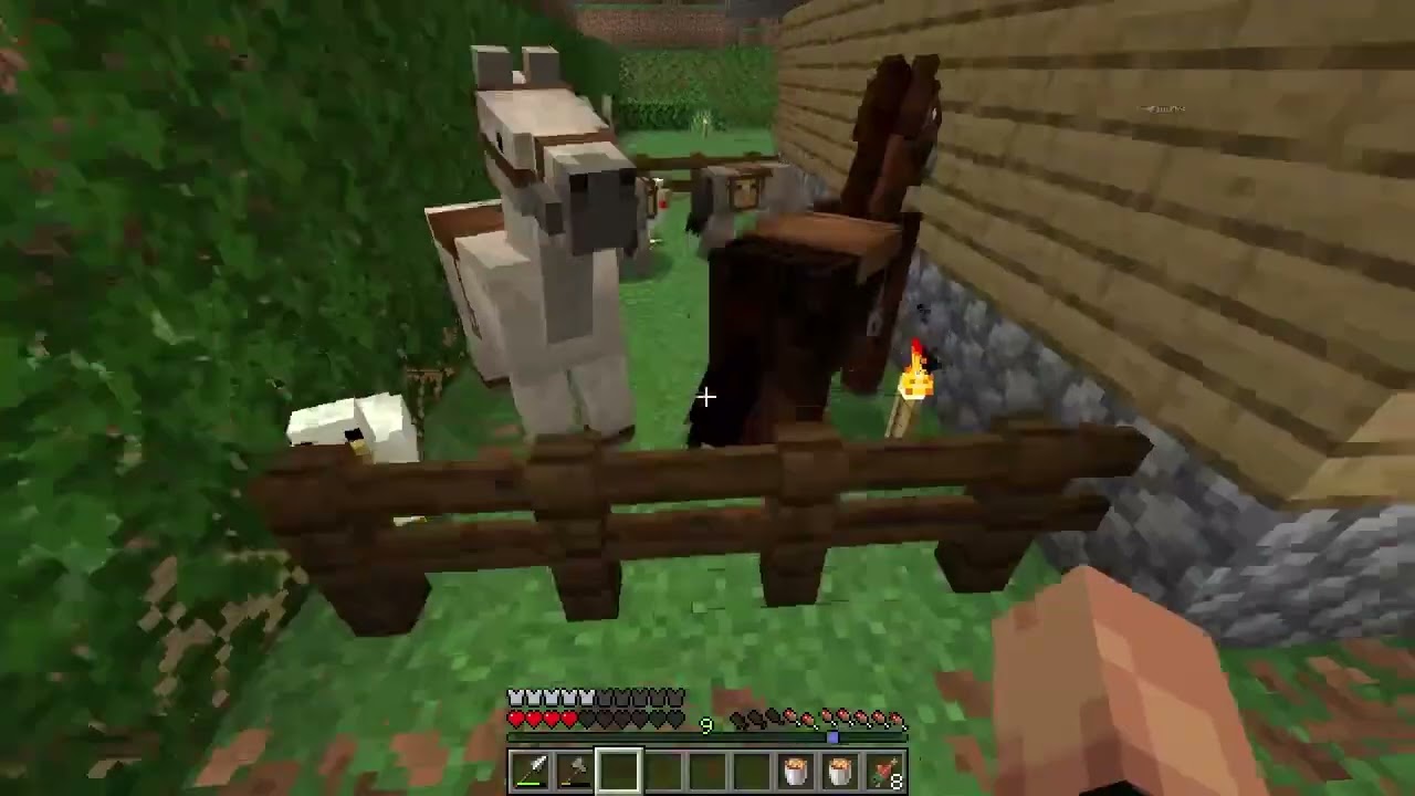 Collecting animals for our Family Farm (In Minecraft)