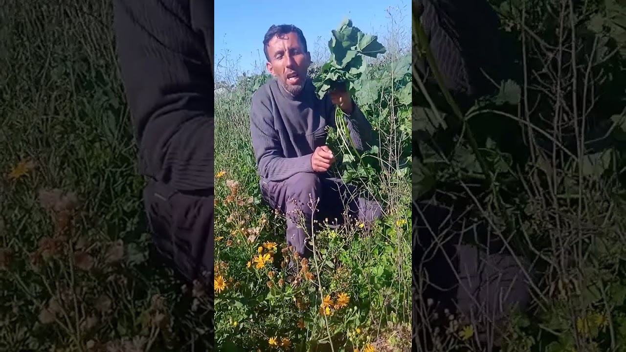 نذهب الى الموت من أجل الحصول على الطعام #غزة تناديكم#