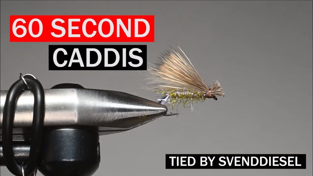 60 Second Caddis Fly Pattern Tutorial