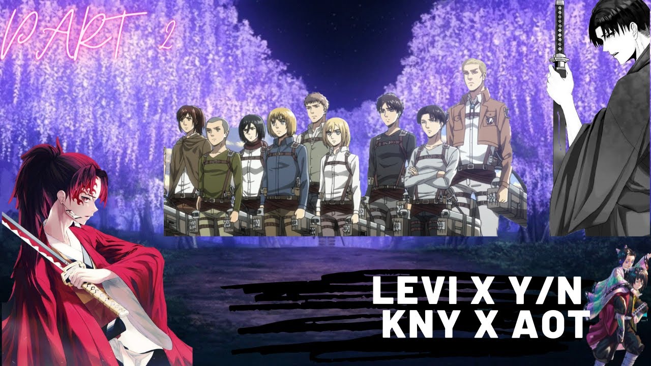 Aot x Kny/ Levi x Y/n/Mixed universes/Part 2/New mission