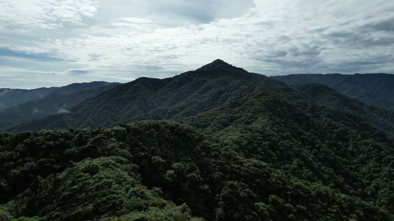 Aerial video of the stream at the east of the Mirador