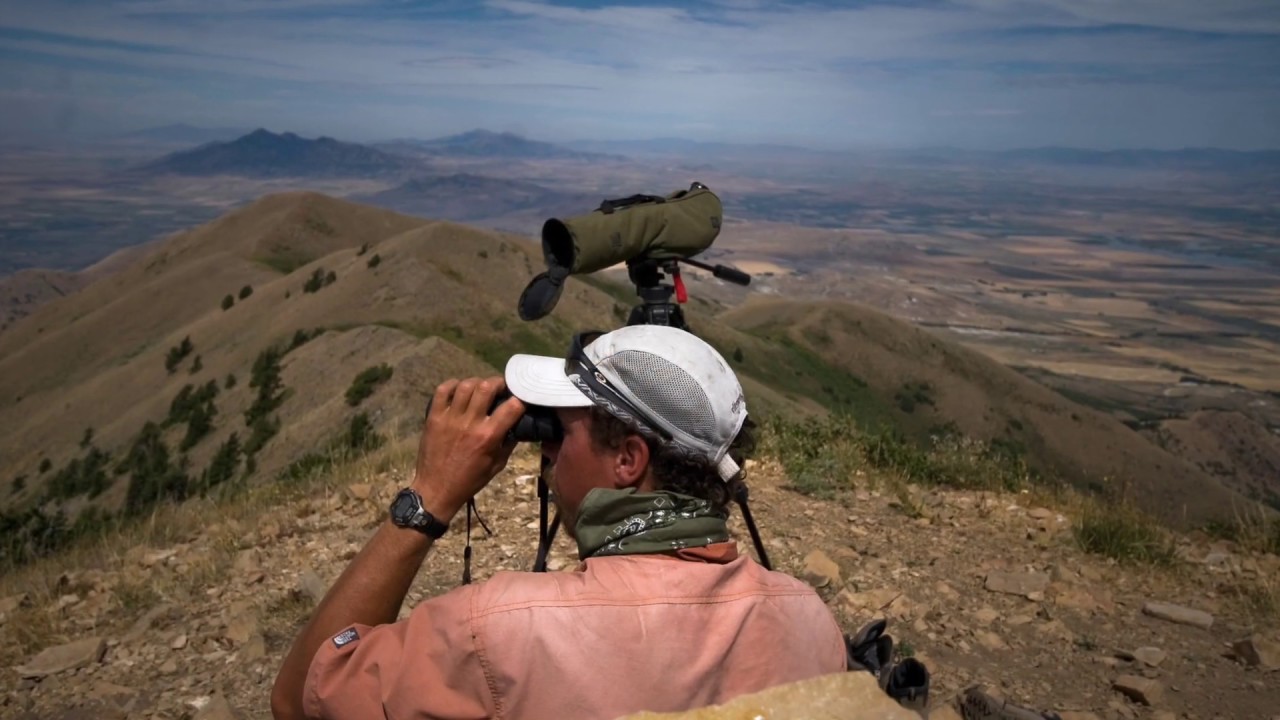 Birding & Wildlife - Wilderness Voyageurs Bike Tours