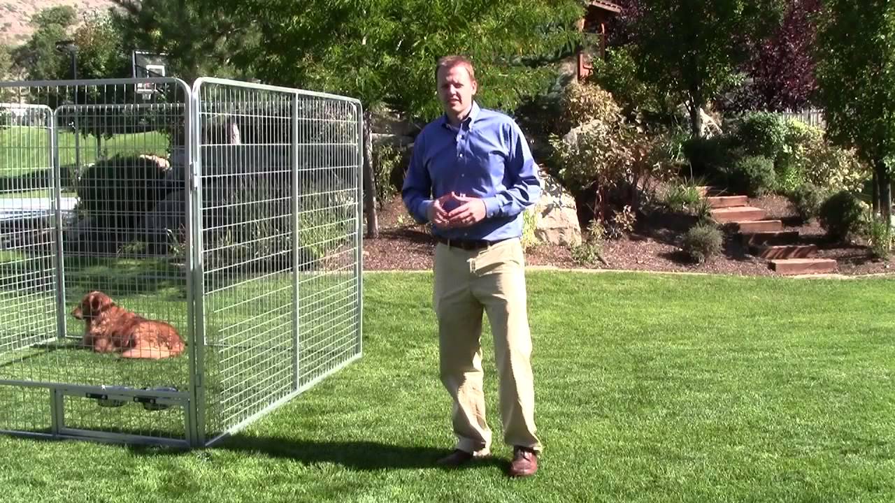 Main Kennel Pro Video