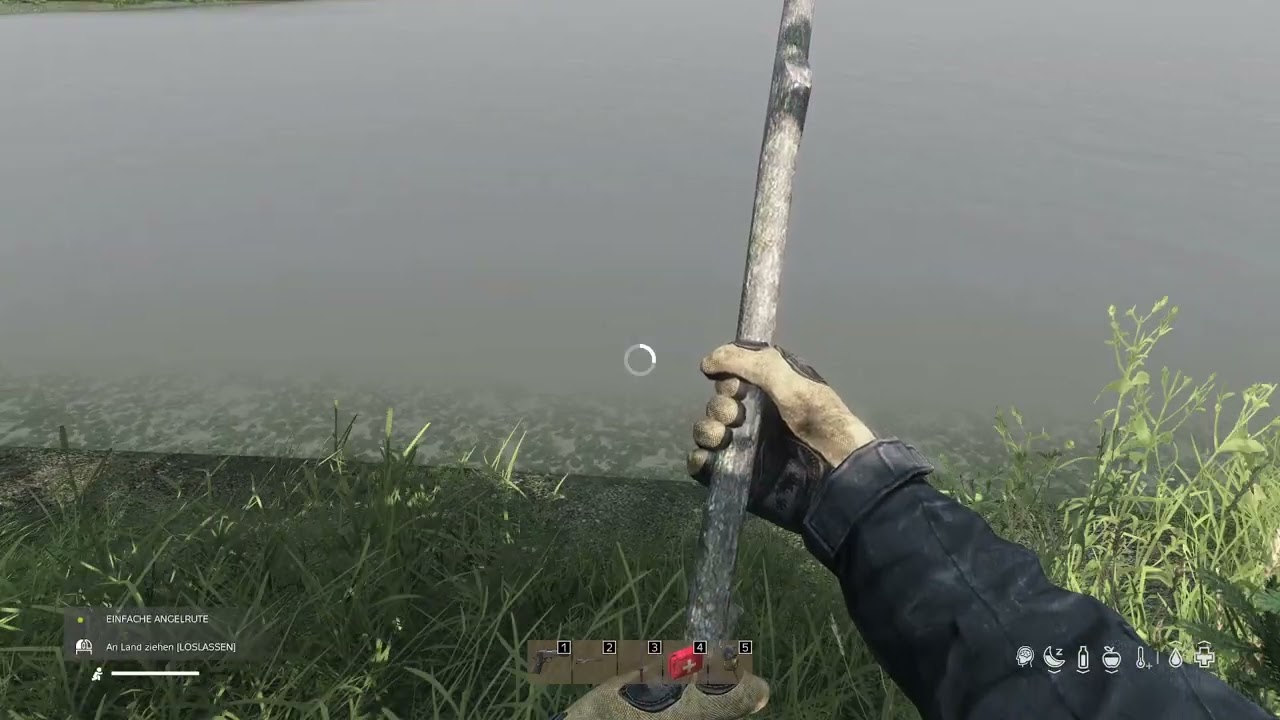 DayZ IntenZ Livonia FISH EAT Bielawa for SLEEP (Eng/Ger)