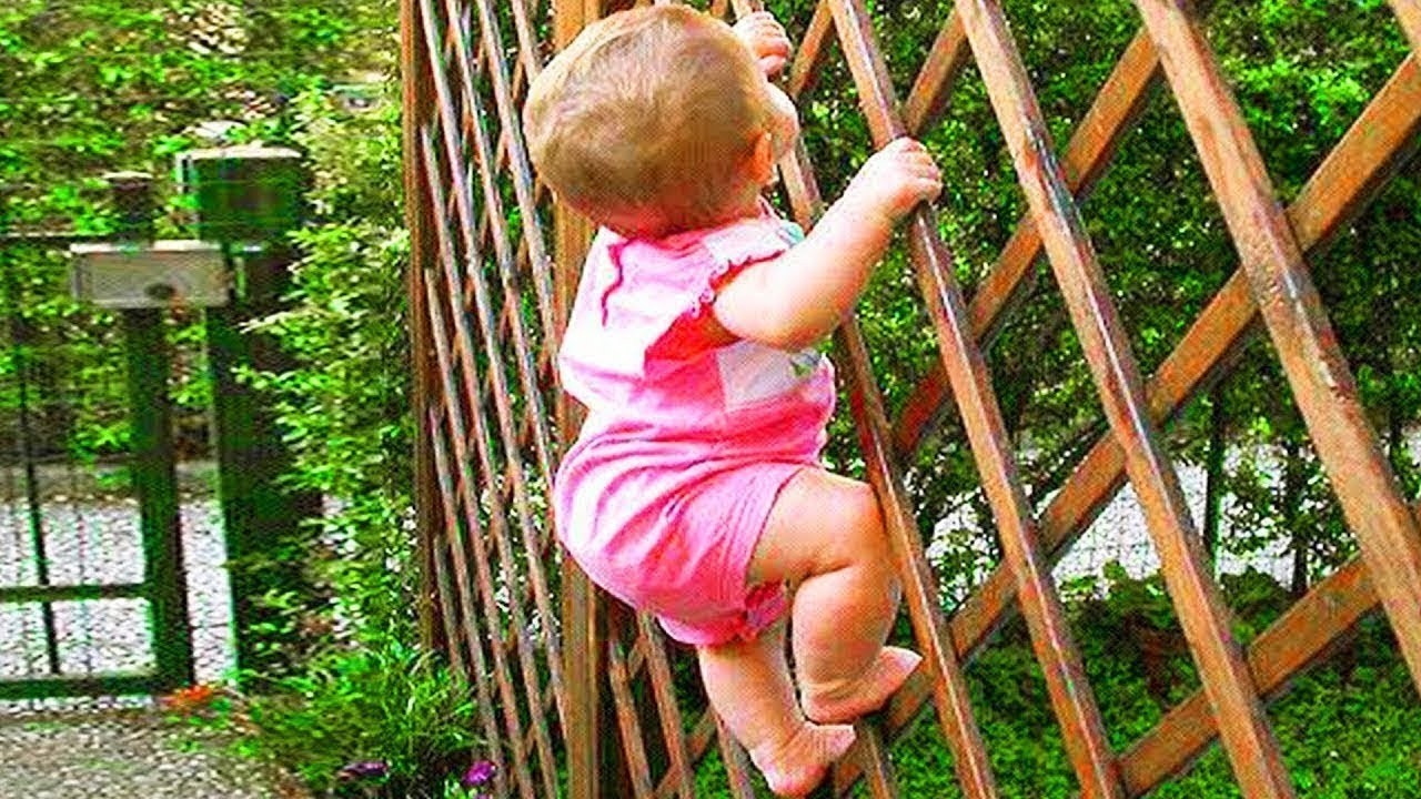 Funny Babies Videos 😆 | Best Viral Compilation
