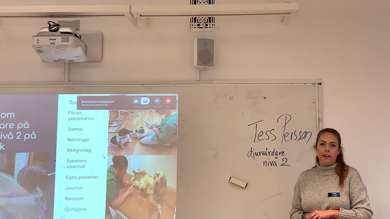 Att jobba som djurvårdare nivå 2