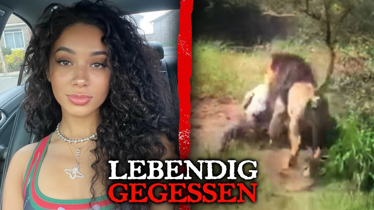 Die Letzten Momente Von Delaney Brooks GEFRESSEN Von Einem L&ouml;wen W&auml;hrend Ihrer Safari...