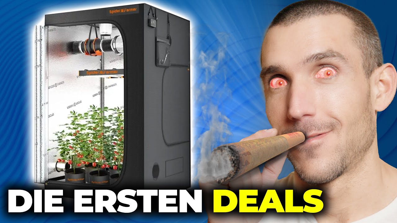 Die ersten CANNABIS Deals sind da!