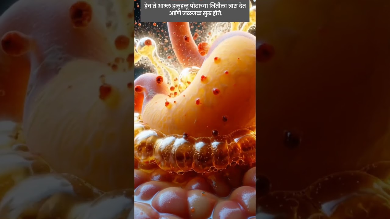 Acidity Inside the Stomach &ndash; What Really Happens? | 3D Realistic Science facts&rdquo;