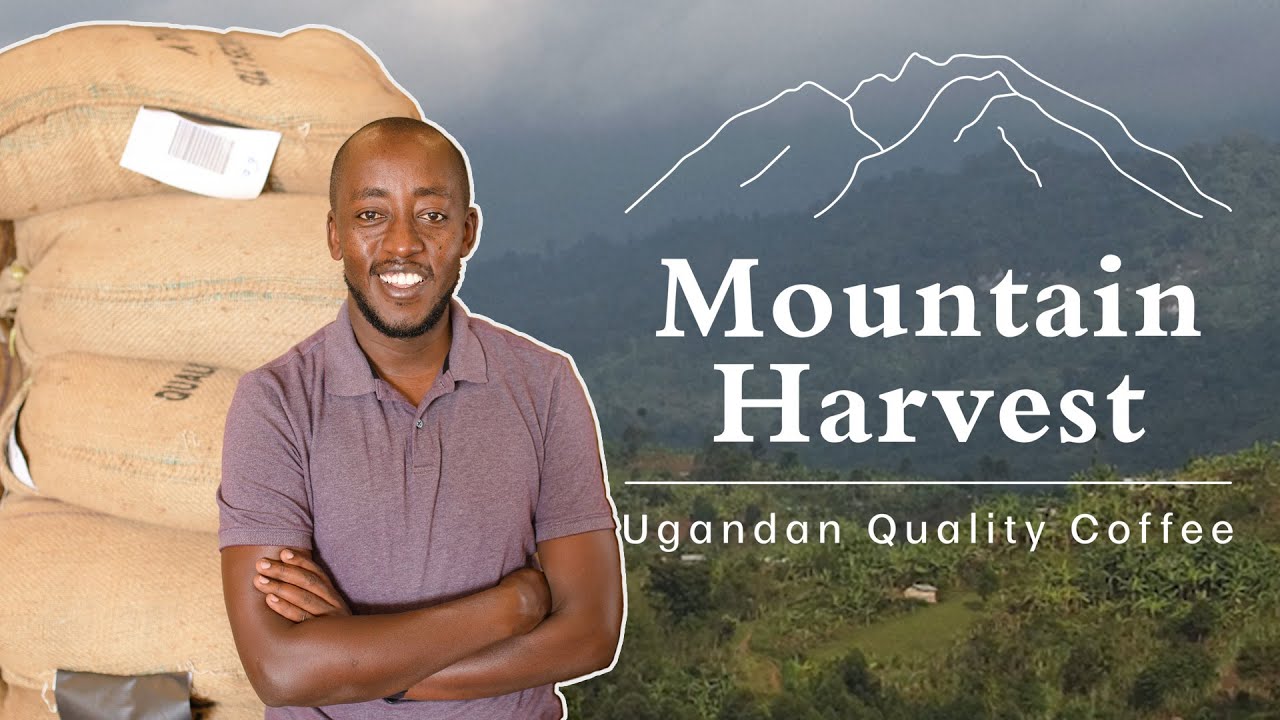 Mountain Harvest Tour - Warehousing