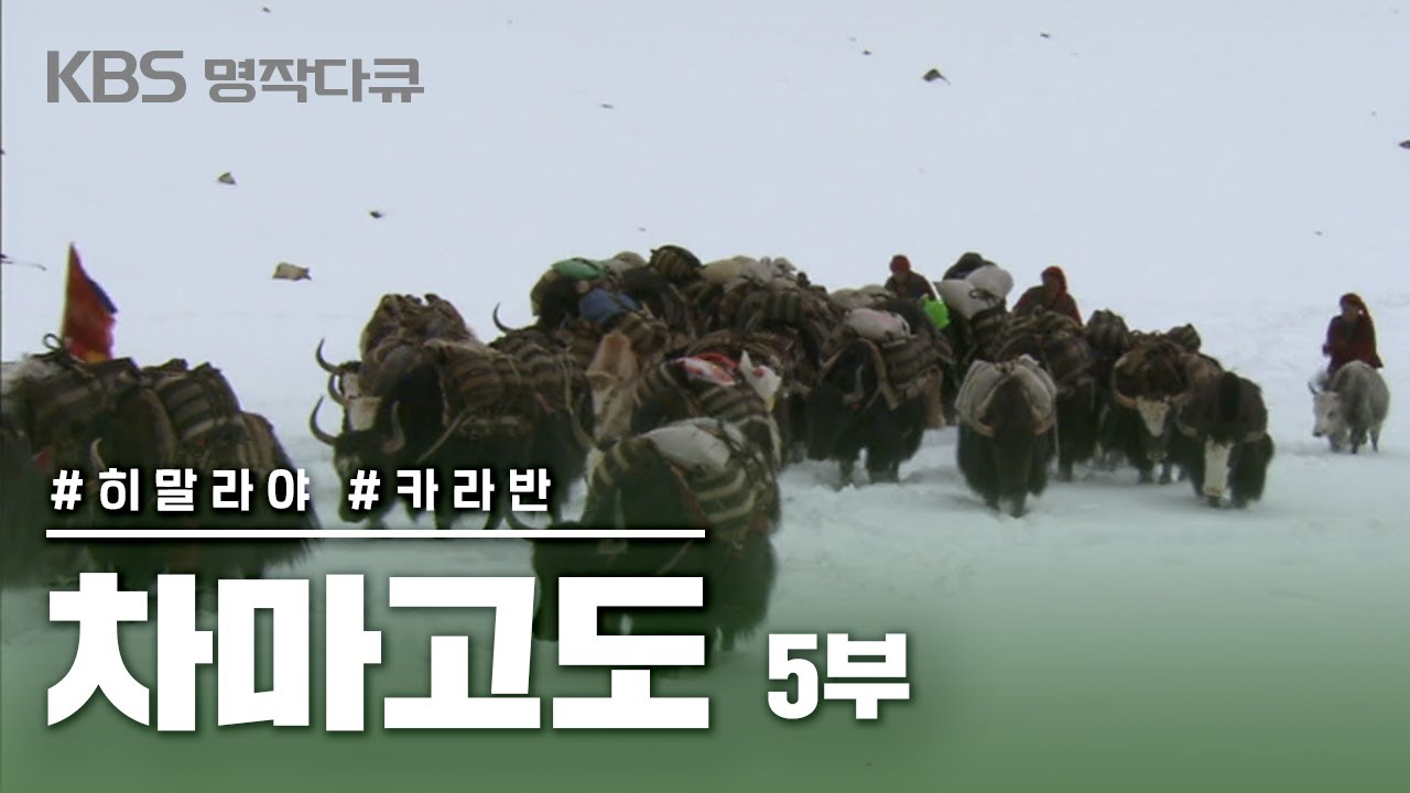 [명작다큐🎖️] 차마고도 茶馬古道 6부작 | 5부 히말라야 카라반 (KBS 2007.11.24 방송)