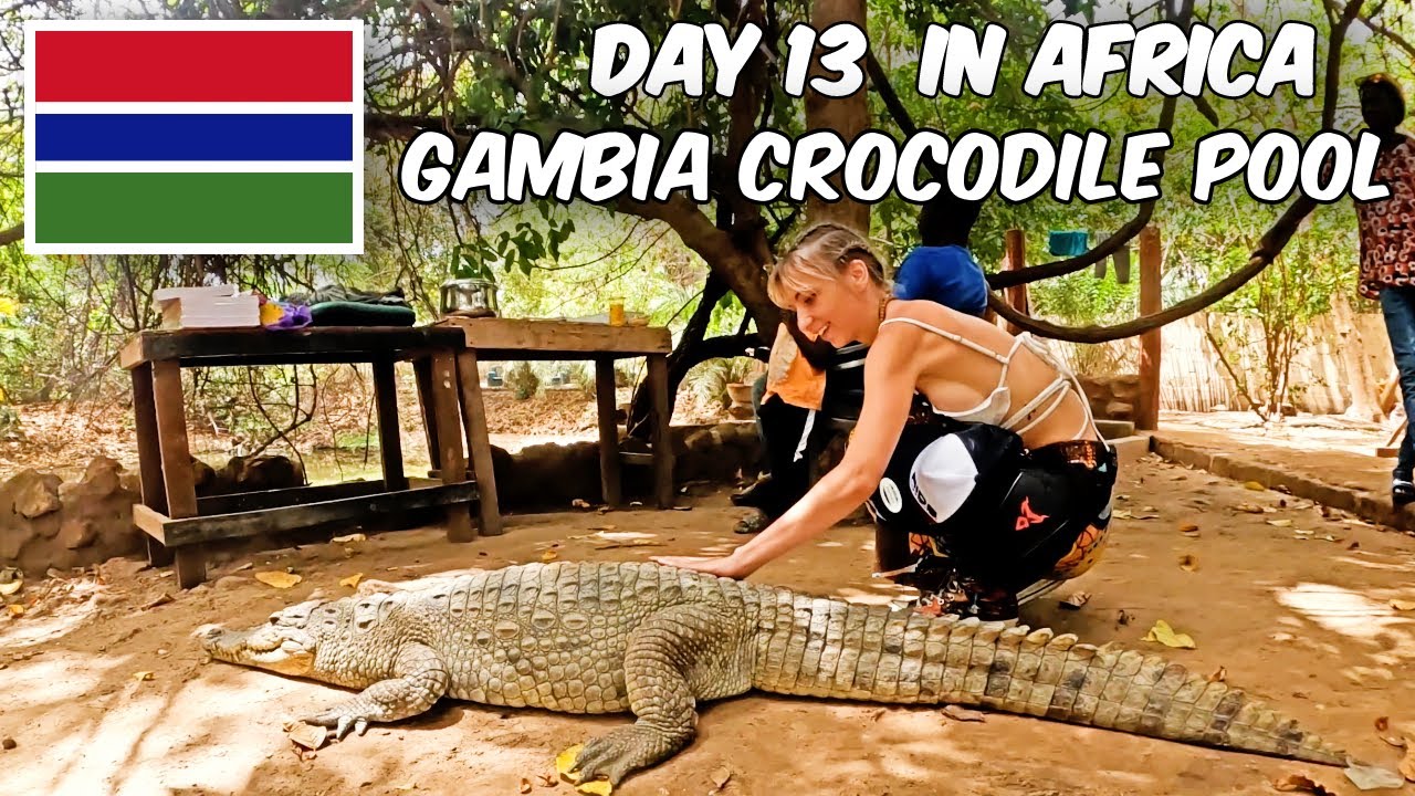 Can i Touch Crocodiles?  KACHIKALLY Crocodile Pool!  [GAMBIA BAKAU - AFRICA DAY 13]