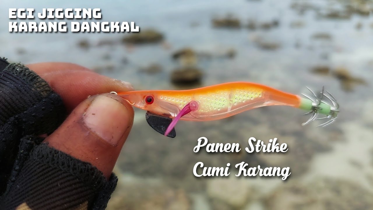 AUTO GORENG TEPUNG ...STRIKE CUMI KARANG BABON BABON PAK...EGI JIGGING