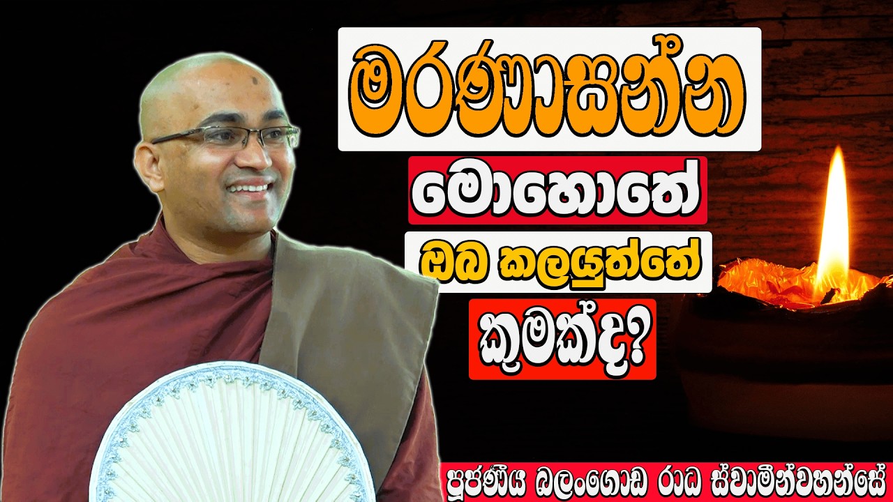 මැරෙන මොහොතේ මෙසේ සිතුවොත් අනිවාර්යයෙන් ඔබ සුගතියේ |Ven Balangoda Radha Thero | Daham potha