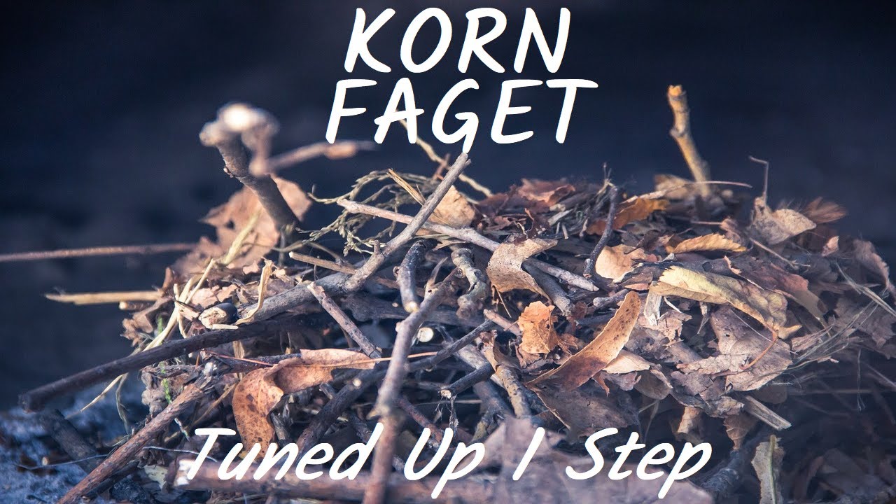 Korn - Faget - Tune Up 1 Step (B Tuning)