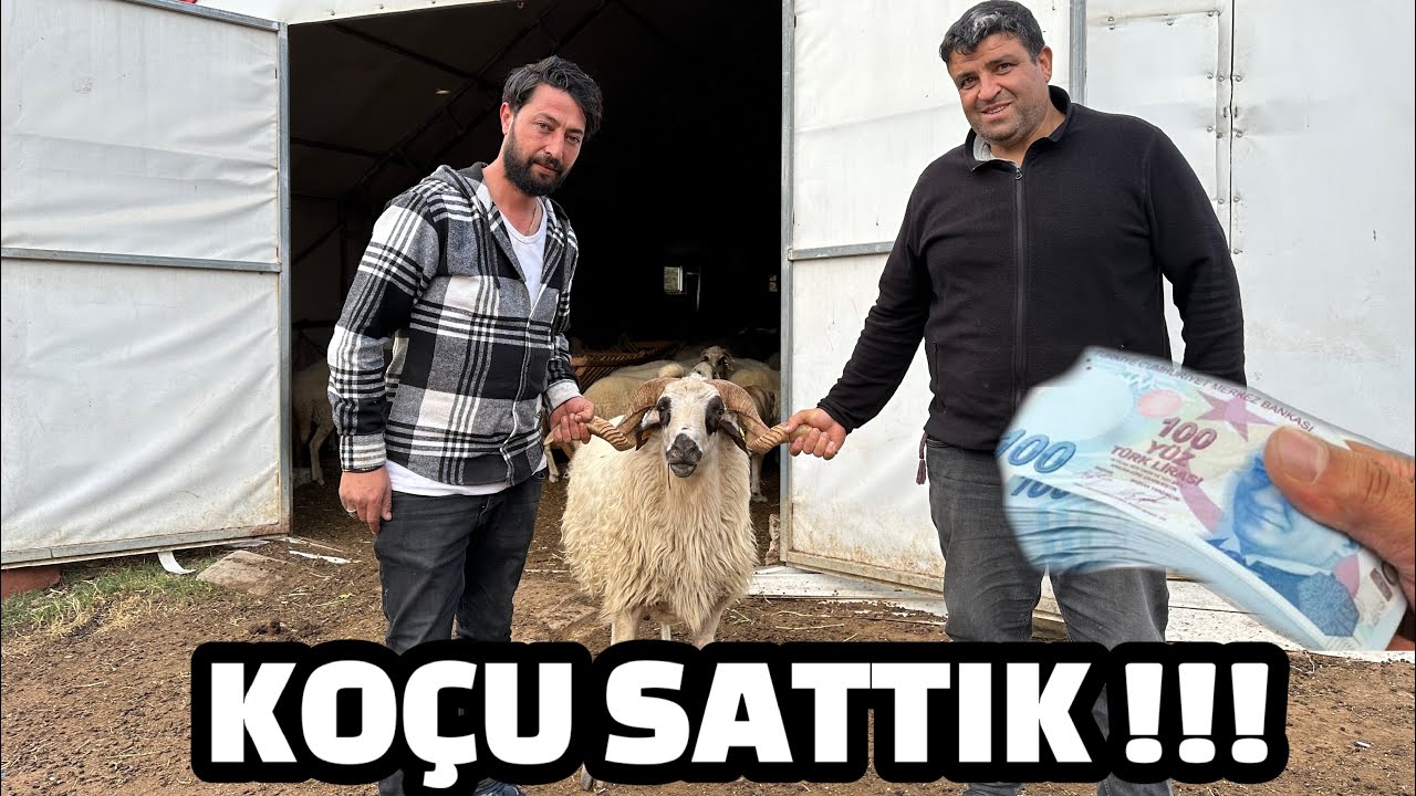 15 BİN TL YE KOÇU VE KUZUYU SATTIK !!! YENİ SU  POMPASI / ARTIK SU SORUNUMUZ YOK / DAĞDA YAŞAM