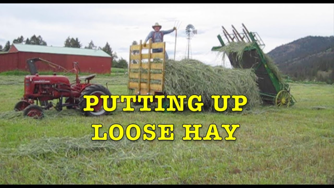 Putting up Loose Hay with Farmall Cub, John Deere Hayloader